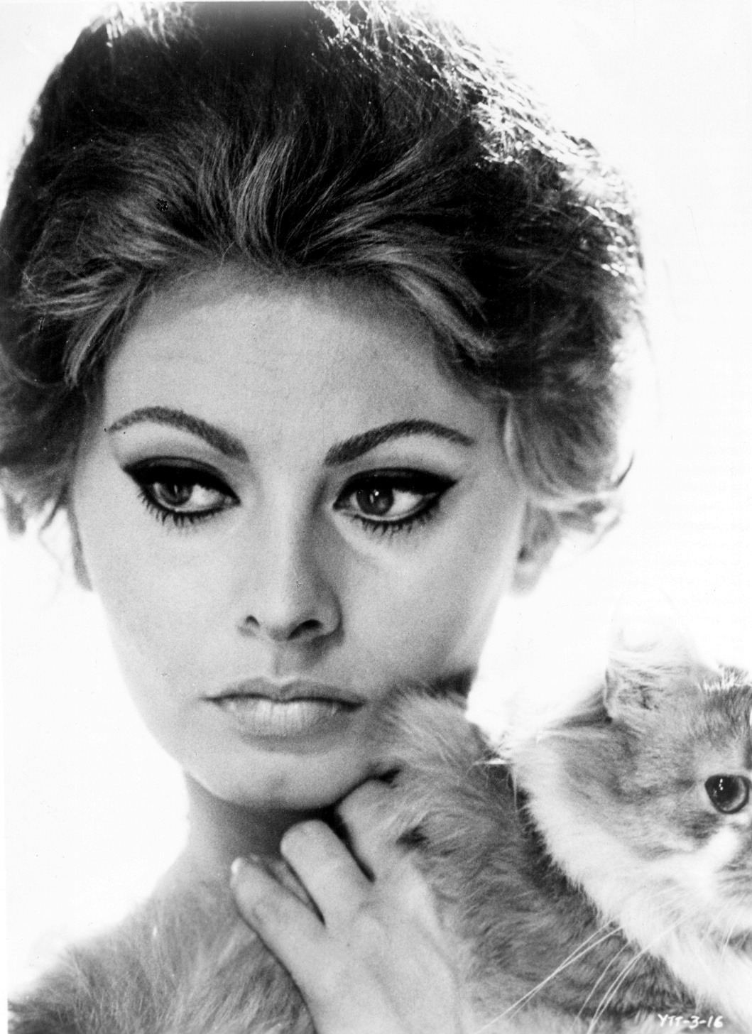 almavio: Vittorio de Sica | Sophia Loren with cat, 1963