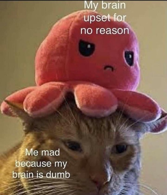 anxietyproblem: