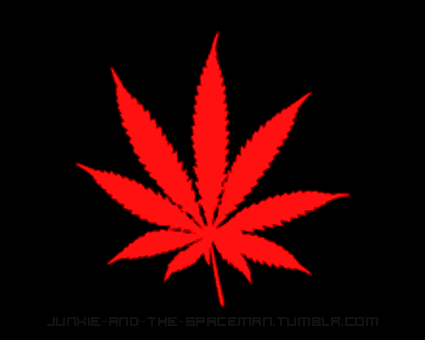 ganja-culture:  Source 