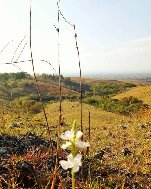 Where focus goes, energy flows . . . . . #verenanatasia #indonesia #indonesiatimur #sumba #amazingsu