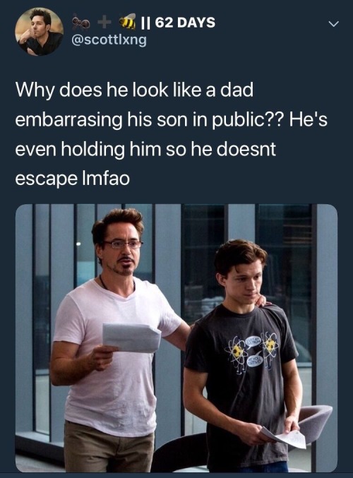 RDJ/Tom Holland Giving Off Spidey-Son Vibes- Casting Done Right