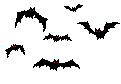 Bats