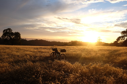 thegrreatescape:  Henry Coe State Park September 2015