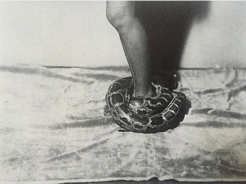 XXX grigiabot:Man Ray photo