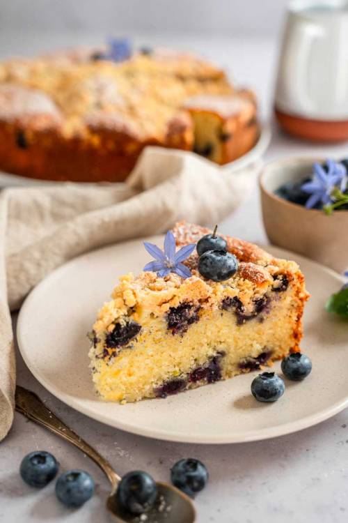 Blueberry Streusel Cake (recipe in German)