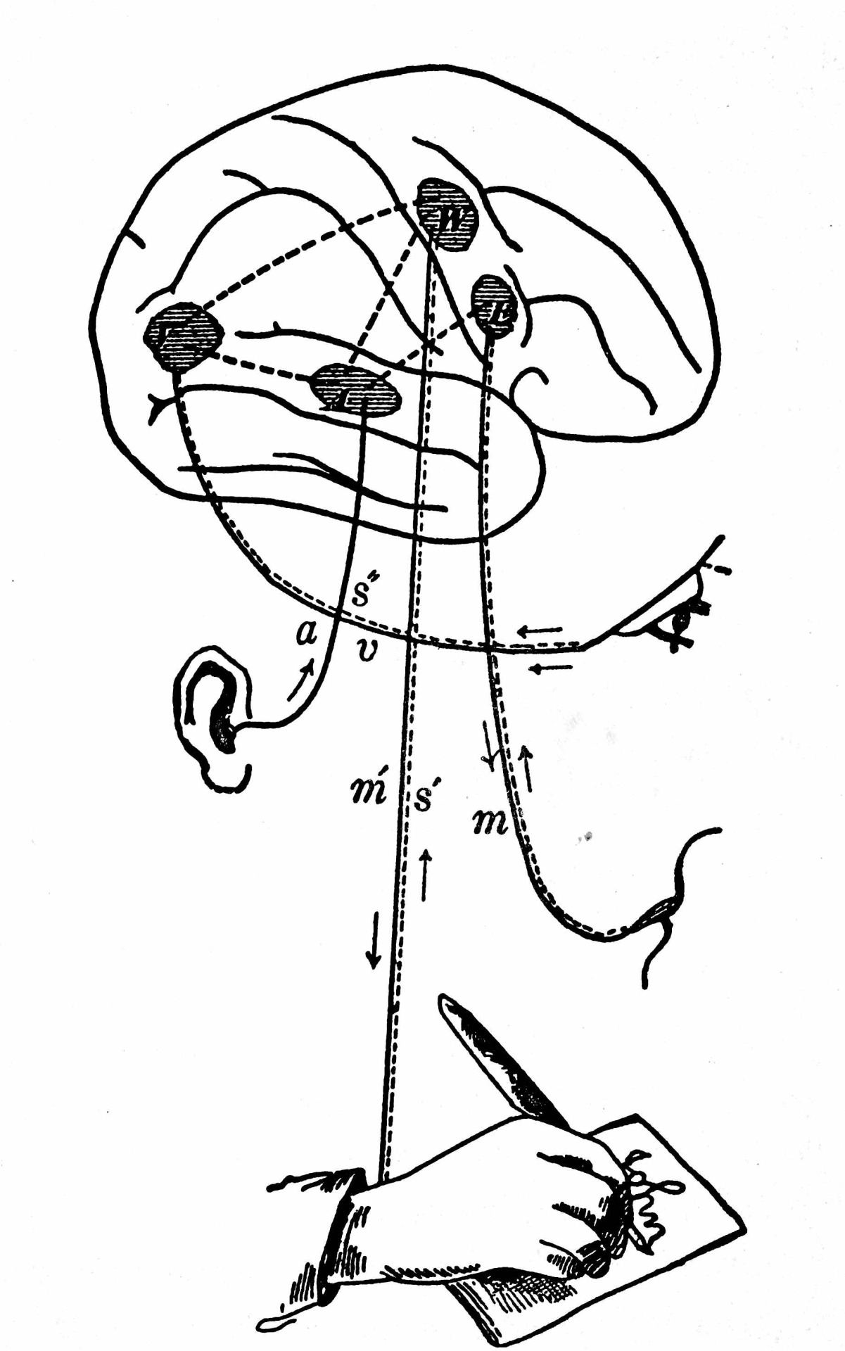 Austin kleon handwriting as physiological habit from william 