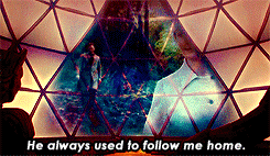 whovianfeminism:   Image Text: How is romanticizing stalking against feminism? 