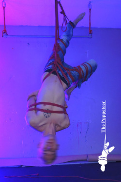 the-puppeteer-1976:Final installation #art #catplanet #male #nudemodel #freedom #wings #camp #nuke #birth #bondage #twink #colorful #rope #shibari