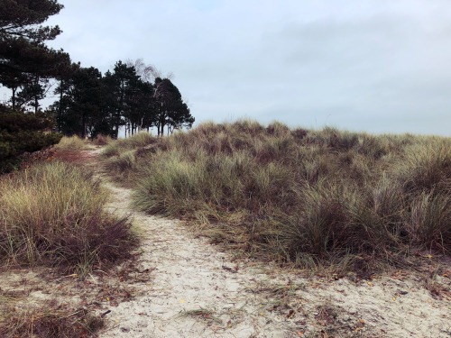 Solrød Strand, Denmark.Photo taken by me.