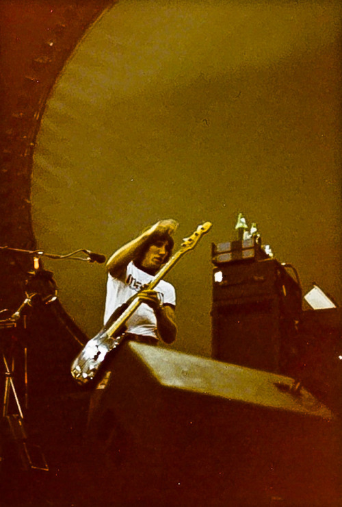 humanoidhistory: 40 YEARS AGO TODAY: Pink Floyd live at Madison Square Garden on July 1, 1977. (Nept