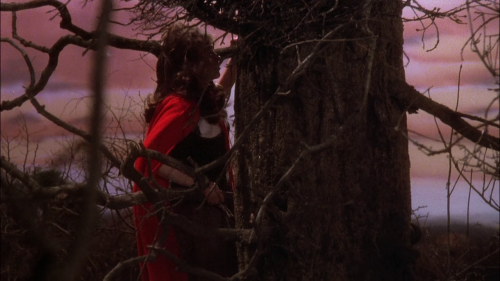 isthisfastornormalspeed:Sarah Patterson in The Company of Wolves (1984) by Neil Jordan