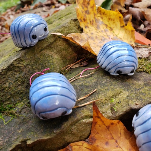  Isopod ornaments now live on Et*y! 20 different kinds to choose from!  etsy.com/shop/eattoast