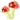 Shr00mz!