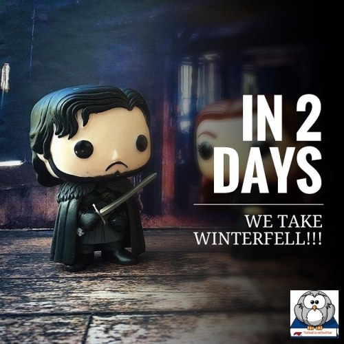 IN TWO DAYS WE TAKE WINTERFELL&hellip;GAME OF THRONES BOXES ARE COMING!!! Orders open on May 21'st! 