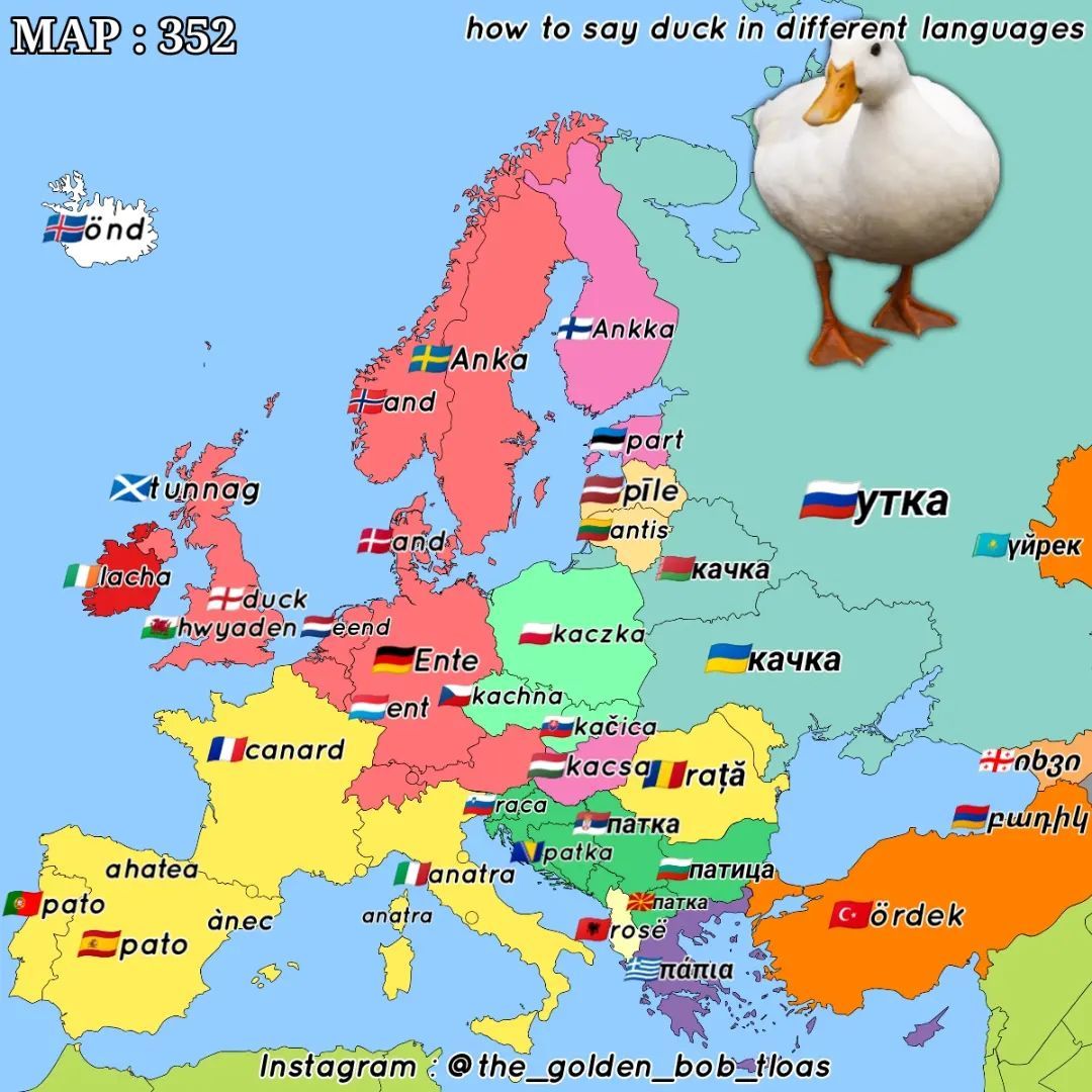 How To Say duck In European Languages By Maps On The Web
