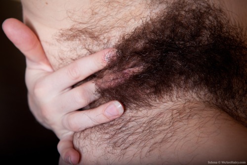 mastermind1967:hairywomenblog:More pics of hairy women on: http://hairywomenblog.tumblr.com WOW!!!, 