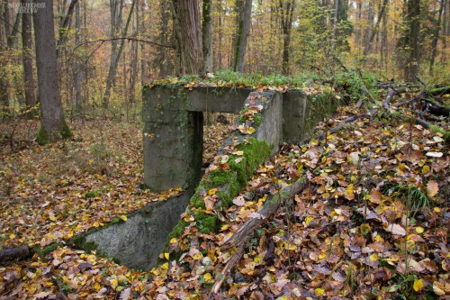 diekellerkinder: Cooke Barracks - or what’s left of it.  The Cooke Barracks were home to many, many US soldiers during Germany’s occupation era after WW2 - and if you go by their “fan website” most of them had the time of their lives there. Cooke