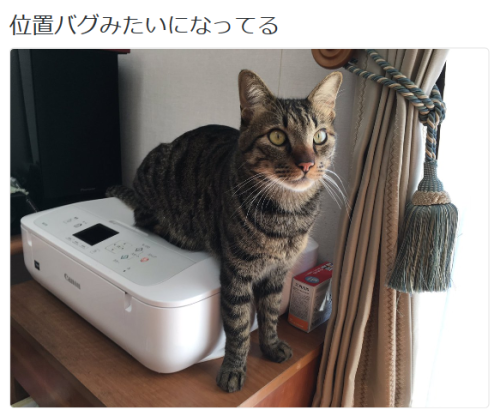 highlandvalley:  ふらんくさんのツイート: “位置バグみたいになってる https://t.co/fxuEkBUK9w”