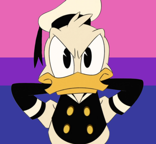 transdarkwingduck:ive had requests for gay and bi donald icons sitting in my inbox for ages lol bett