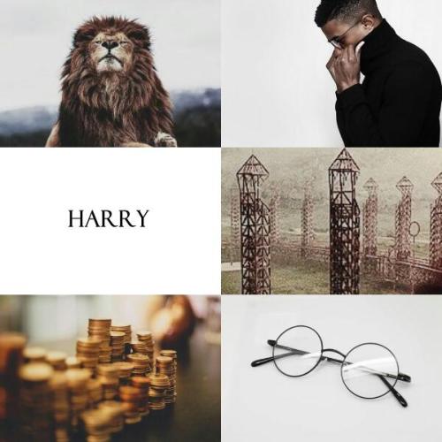 remussloopin:character aesthetics → harry potterthere’s no need to call me ‘sir’, professor