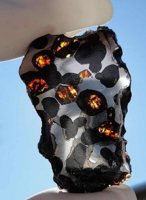 Someone is holding a pallasite - a “stony iron” meteorite consisting of iron metal 