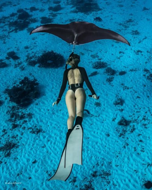 Flying with Ray #mantaray Reposted from @mauceano M A N T A R R A Y A . @lee_hodgson ‍♀️ @maucea