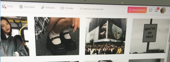 Tumblr media