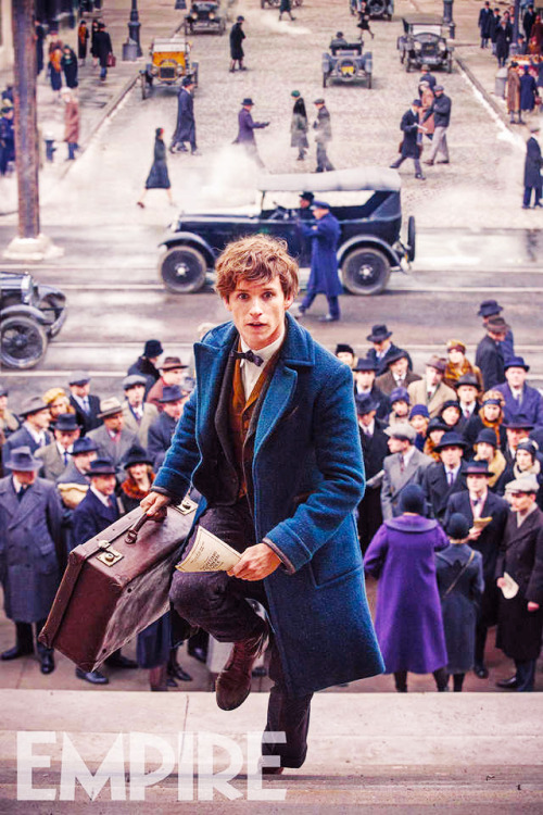 First Look : Fantastic Beasts and Where to Find Them