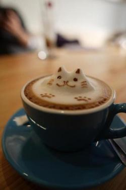 For the sake of cuteness, all of my coffee