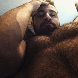 Fur on Muscle