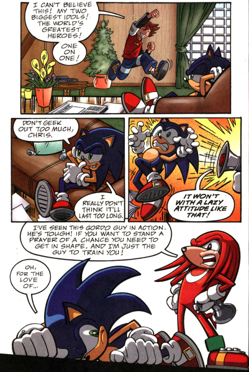 thankskenpenders: Knuckles taking the upcoming charity fight between Sonic and El Gran Gordo way too