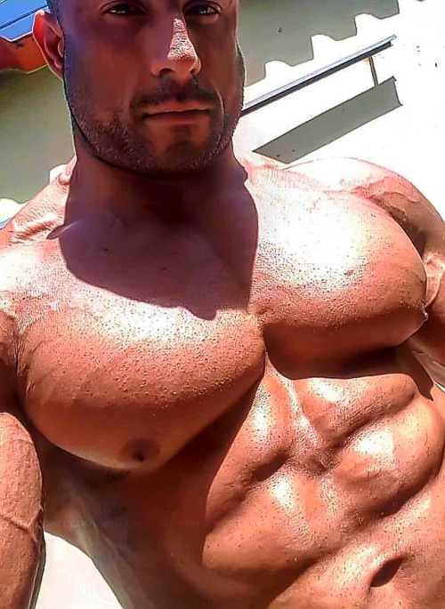 Porn Pics barrypexsblog:  MORE GYNO GREATS. MORE ROIDS