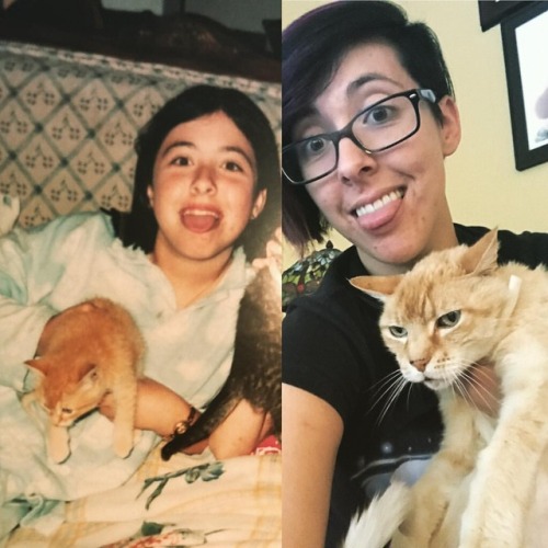 2001 and 2017. Tiger has been the best cat ever for the last 16 years! My kitty is gonna live foreve