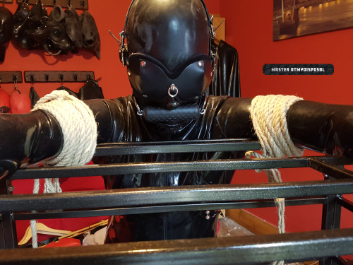 atmydisposal:  Public service announcement: I hate hate hate late subs. Once and for all, if you’re late expect to be punished. This guy was kept like this for *four* hours. His was a particularly bad first session with me. I quote: “So, are you