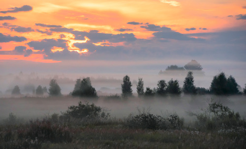 night-dark-woods: expressions-of-nature: by Valeriy Peshkov [ID: three photos of a sunset over a fog