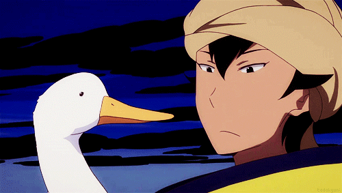 I dont have time to explain but I needs Gifs and Pictures of anime ducks   ranime