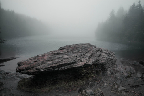 Sterling Pond & Trees by Aryk Tomlinson