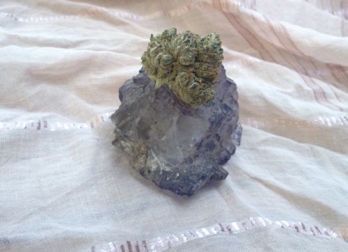 weed-prophet: dankgirl420: Fluorite and cherry pie Your crystals & bud