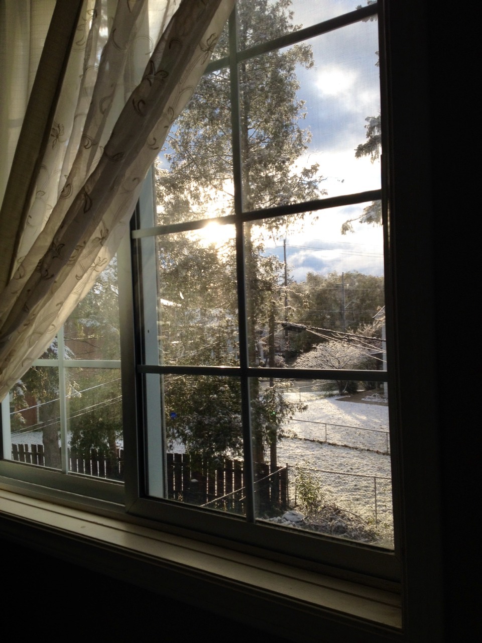 whiteoleander:  morning views 