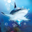 sharkysharksbee