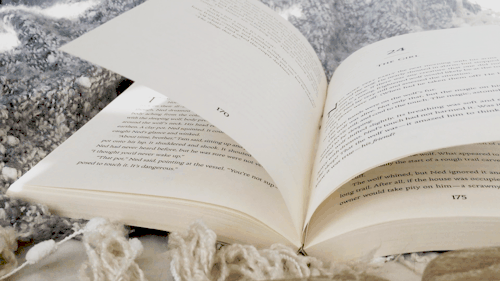 lunarlibrary:Working on something and thought these shots looked nice. When do books not look nice t