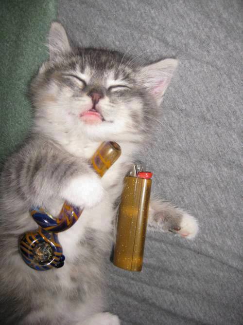 ilikemoozyk:  Matthias, this is your picture on my phone…lmao