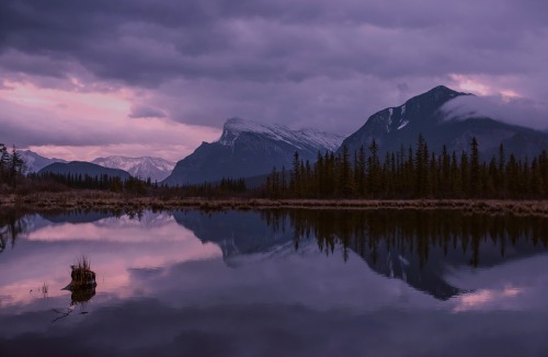 90377: Cloudy morning @ vermillion lakes by bob