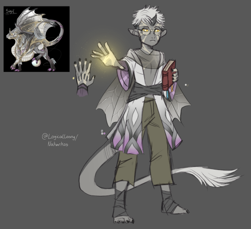 I designed some gijinkas based on my dragons from flight rising