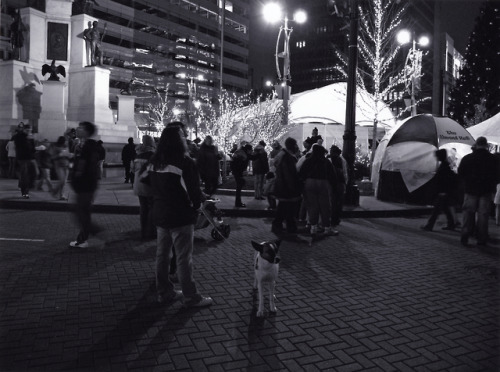 Christmas tree lighting, Campus Martius, Detroit, Michigan, Bob Oren, 2006(courtesy of the Burton Hi