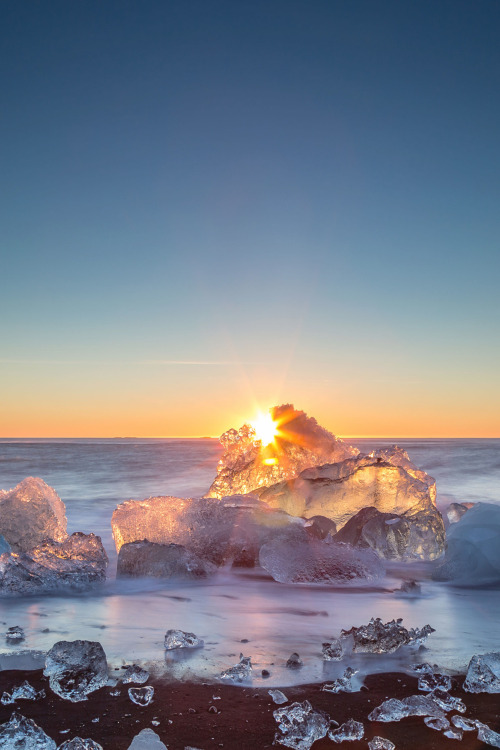 theencompassingworld:  souhailbog:  ICED JEWEL  | Photographer  |  More Here  Explore The World Around Us
