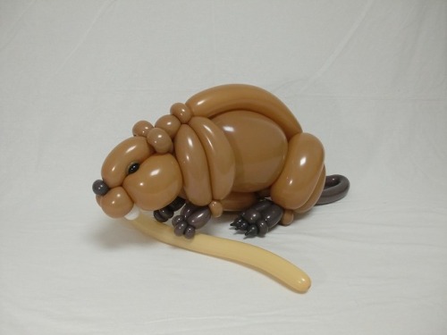 pussylightlytoasted: makeupandchucks: tastefullyoffensive: Balloon Animal Art by Masayoshi Matsumoto