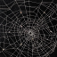 the-madhatters-rabbitholes