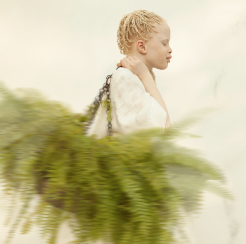 thesoulfunkybrother:  Ph. Vinicius Terranova 