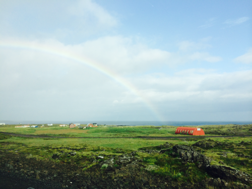 On our very last morning in Iceland, we saw this on our drive to the airport.